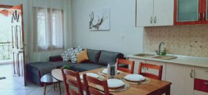 Katerinas Apartments Paradisos Neos Marmaras Living room 003