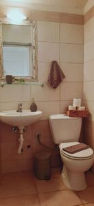 Katerinas Apartments Paradisos Neos Marmaras Small Bathroom 001