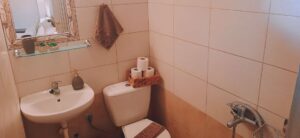 Katerinas Apartments Paradisos Neos Marmaras Small Bathroom 003